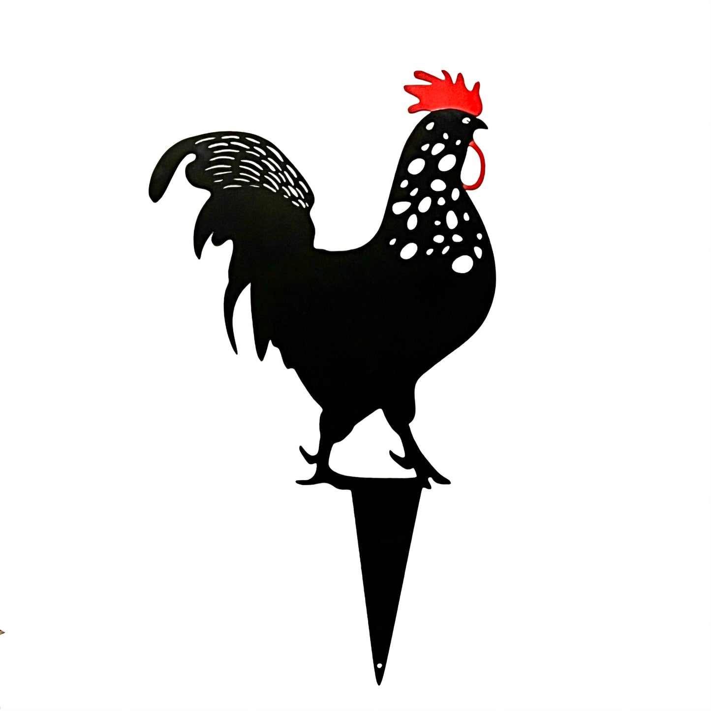 Rooster