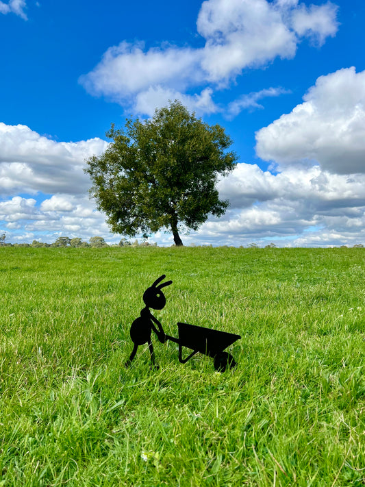 Ant with trolley