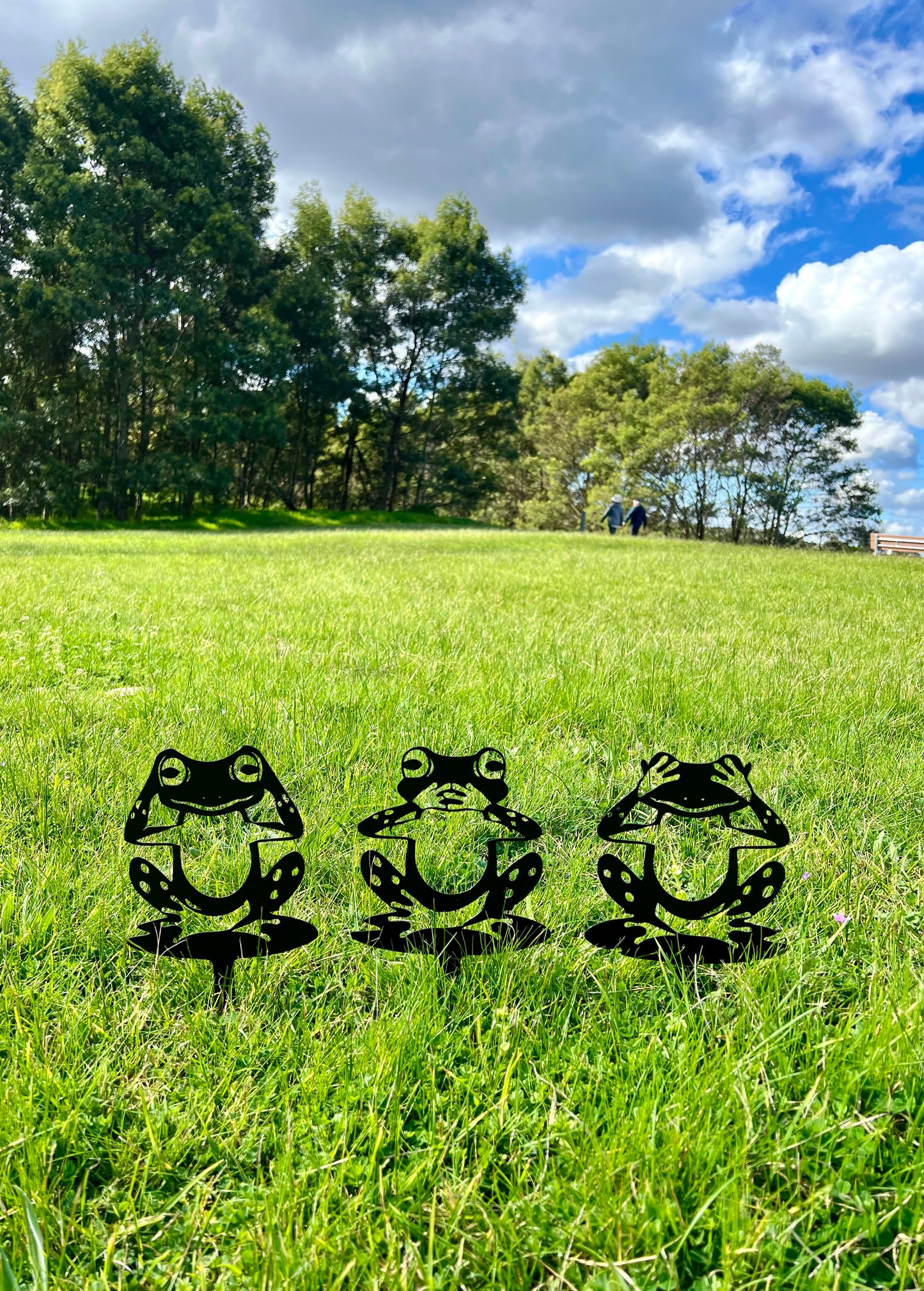 Frogs (set of 3)